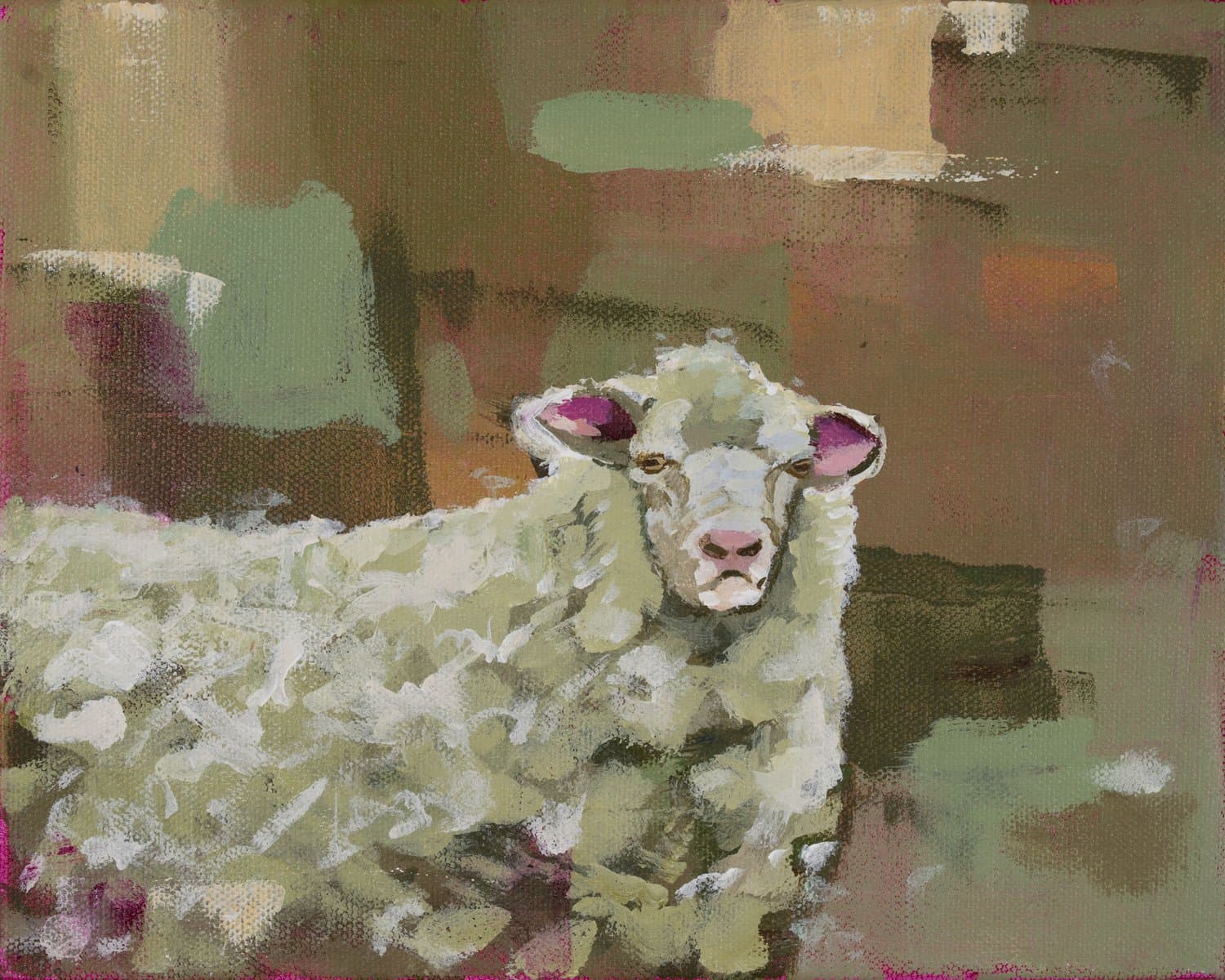 Wooly Grump