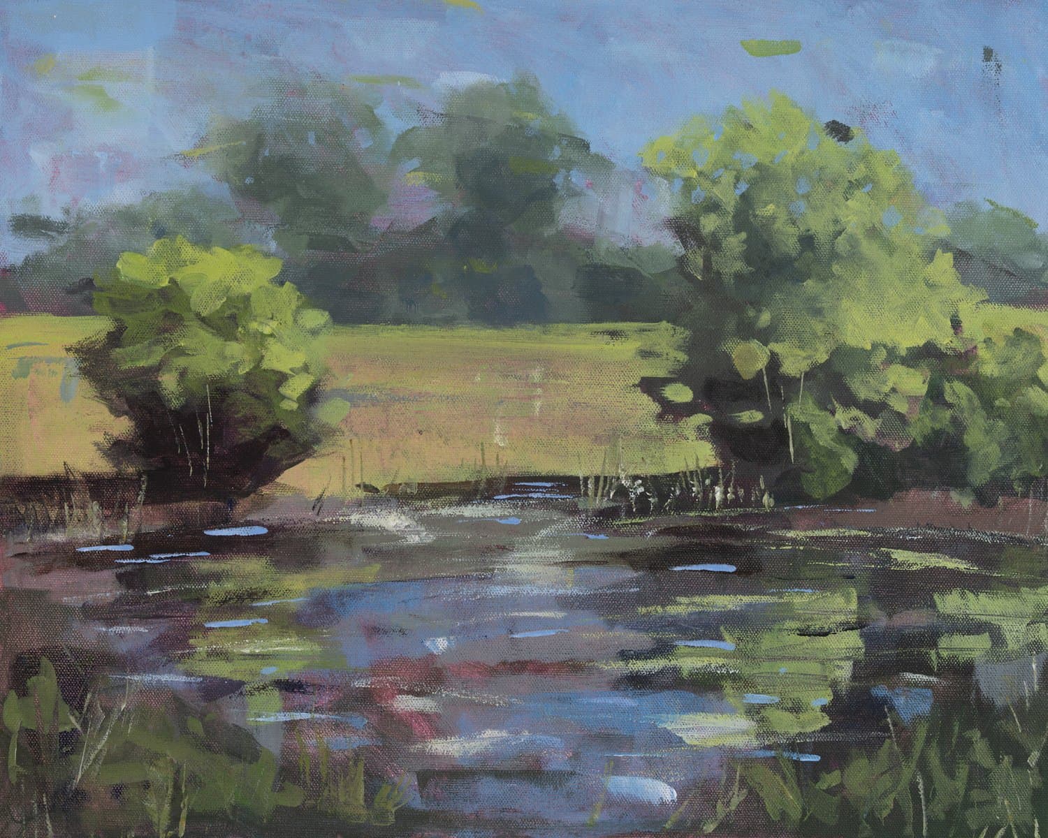 High Noon Pond